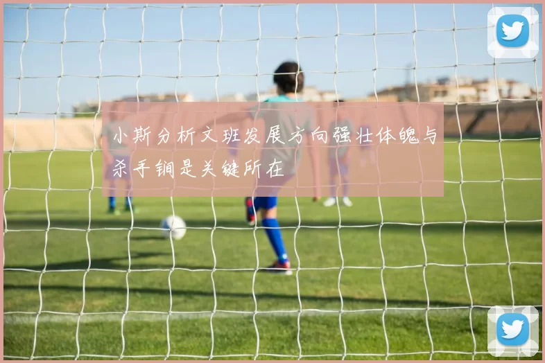 小斯分析文班发展方向强壮体魄与杀手锏是关键所在